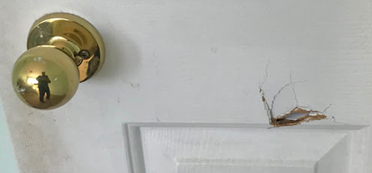 interior door hole repair Orland Park, Illinois